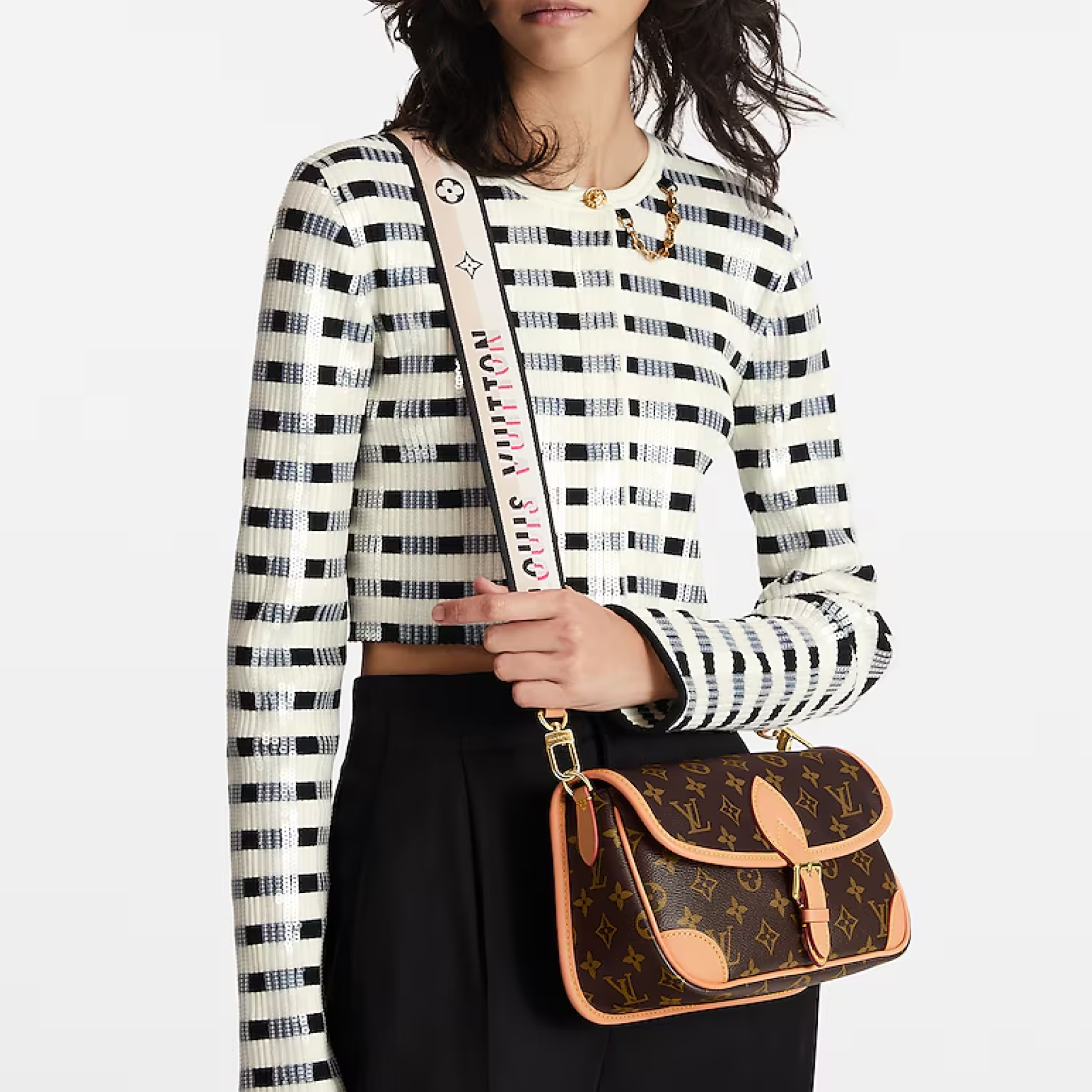 Louis Vuitton LV Diane NM Handbag Monogram Canvas - Bag