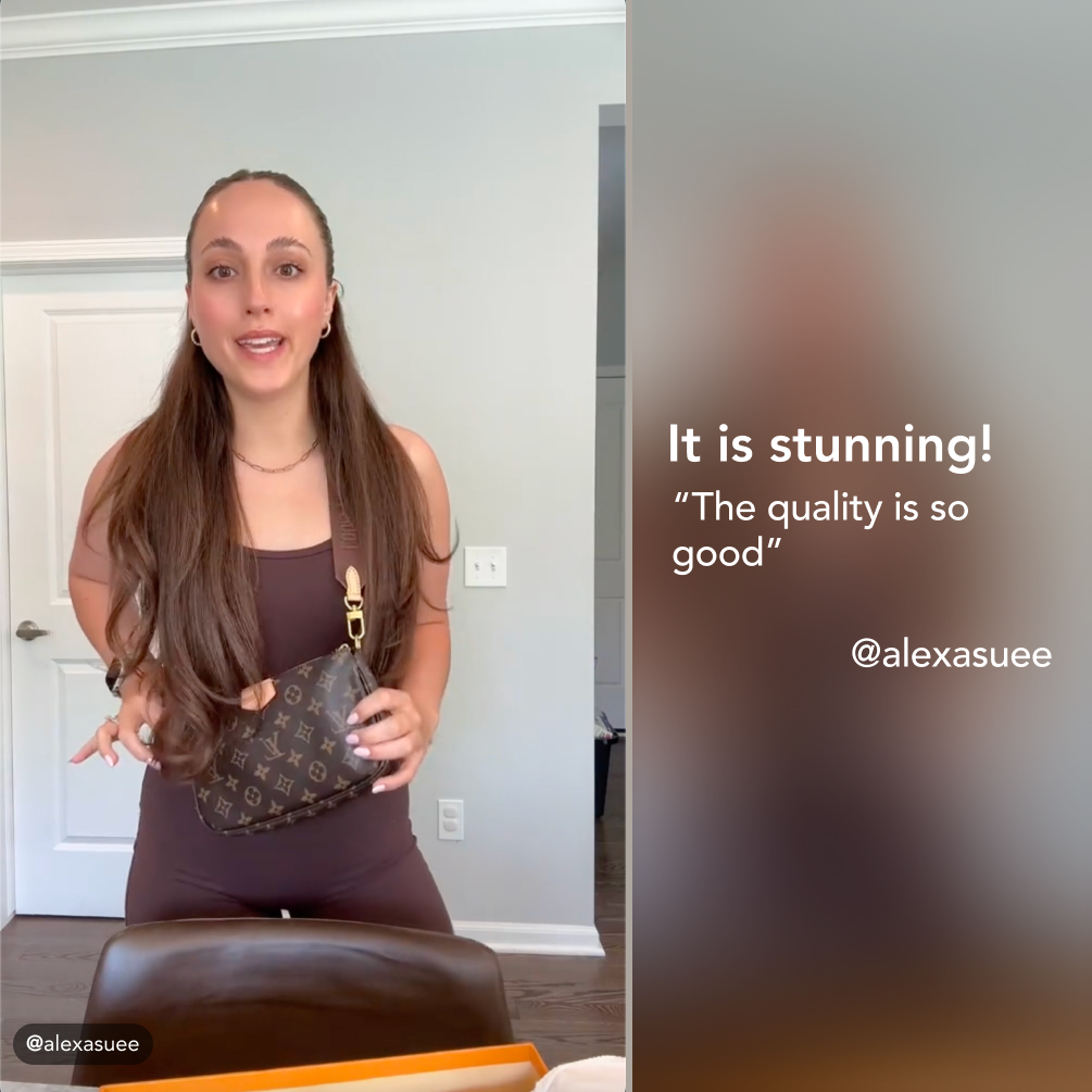 Louis Vuitton LV Multi Pochette Accessoires Bag