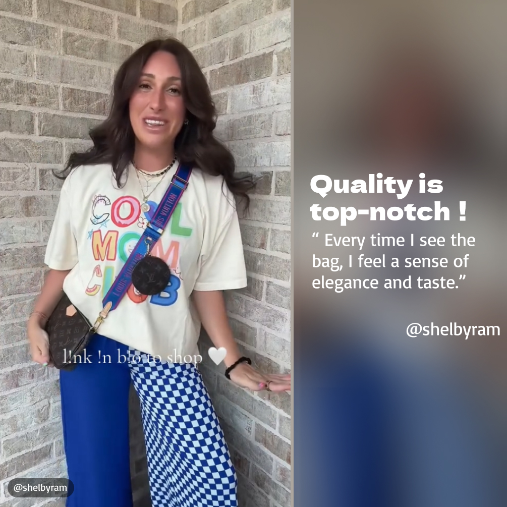 Louis Vuitton LV Multi Pochette Accessoires Bag