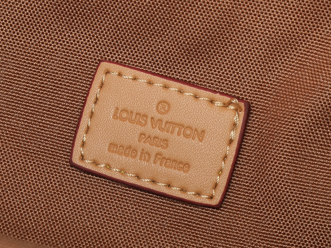 Louis Vuitton Rush Bumbag Monogram Dust canvas - Bag