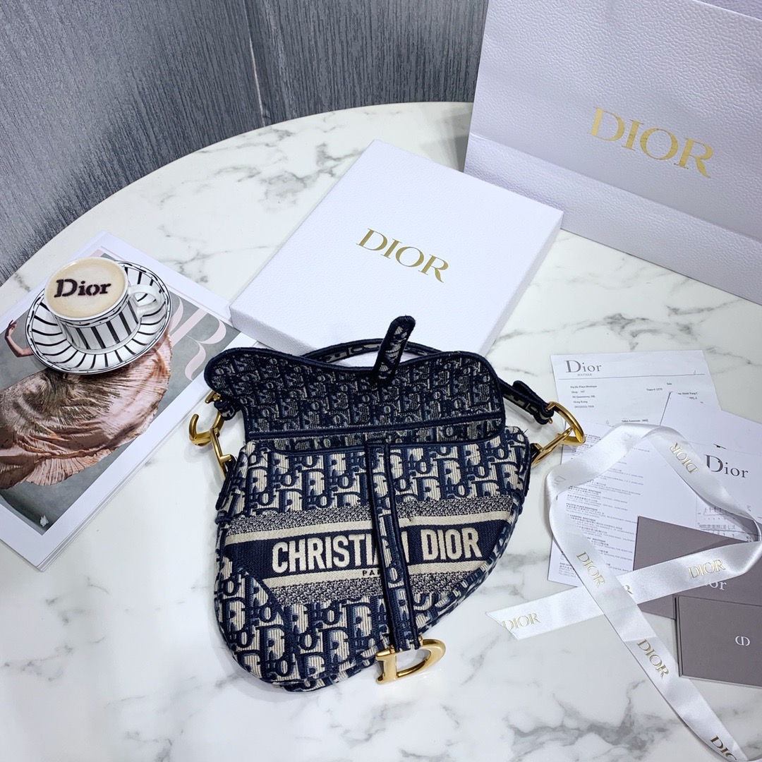Dior SADDLE Bag Blue Dior Oblique Embroidered Velvet - Bag