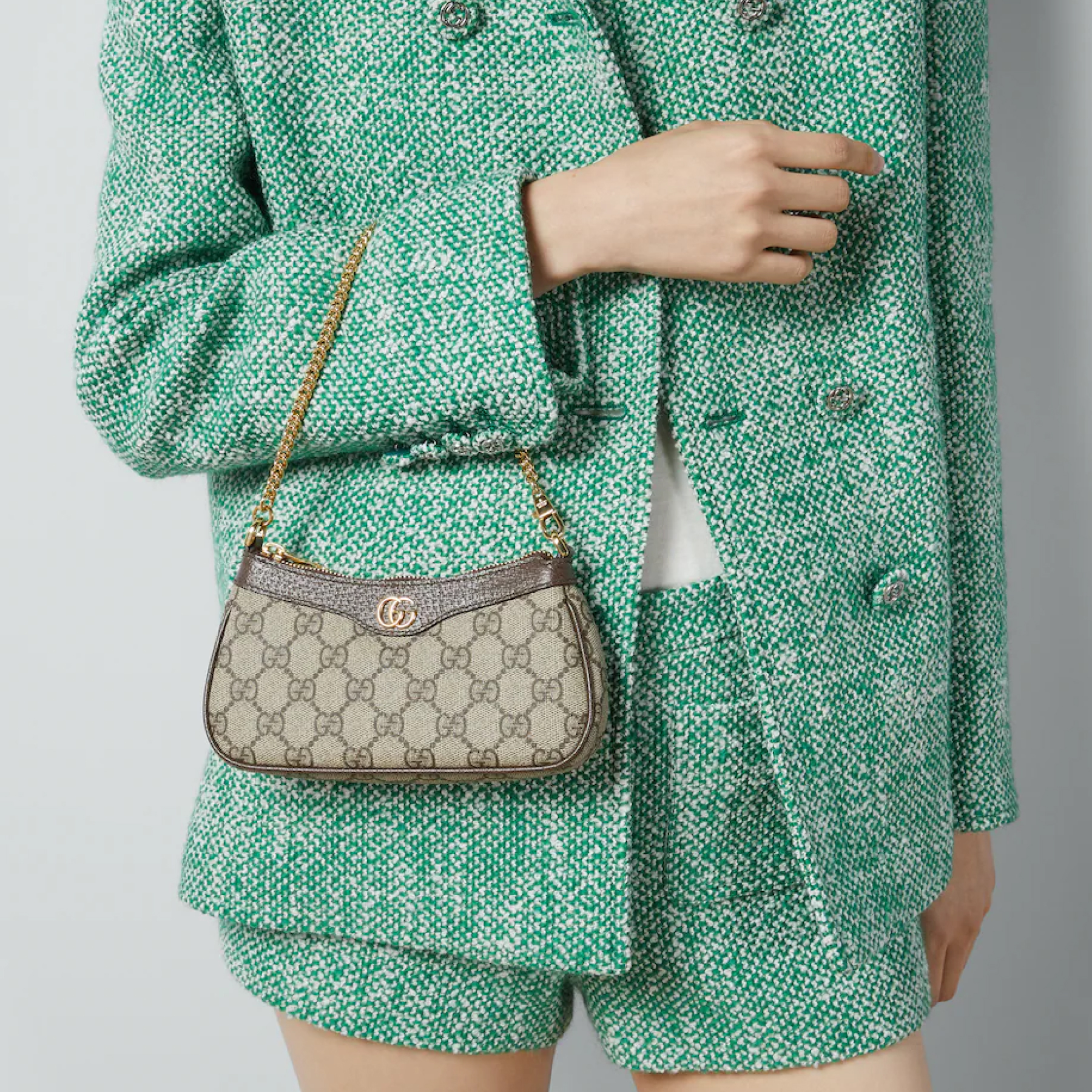 Gucci Ophidia Collection Handbag - Beige And Dark Brown Bag