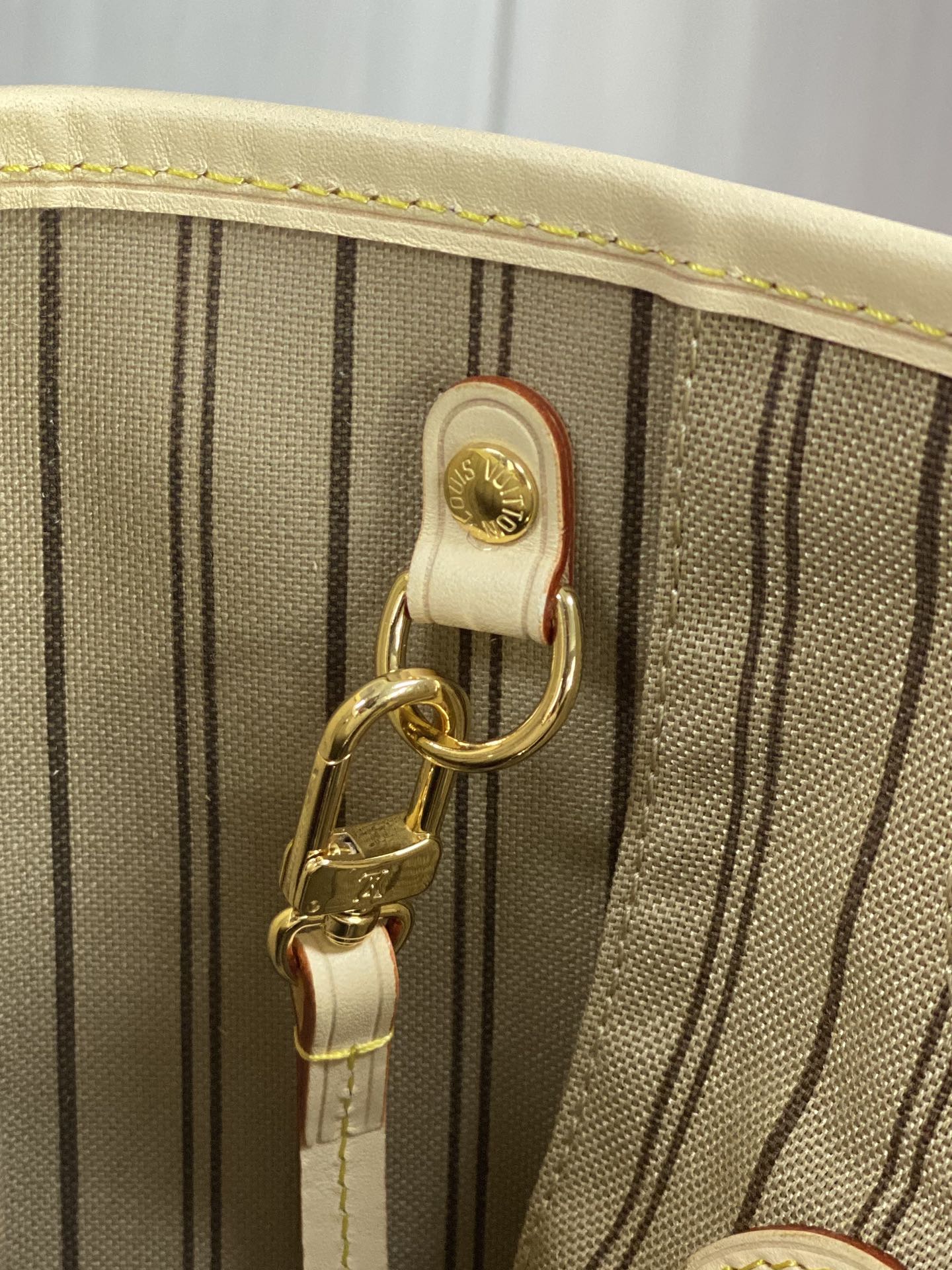 Louis Vuitton LV Neverfull PM bag