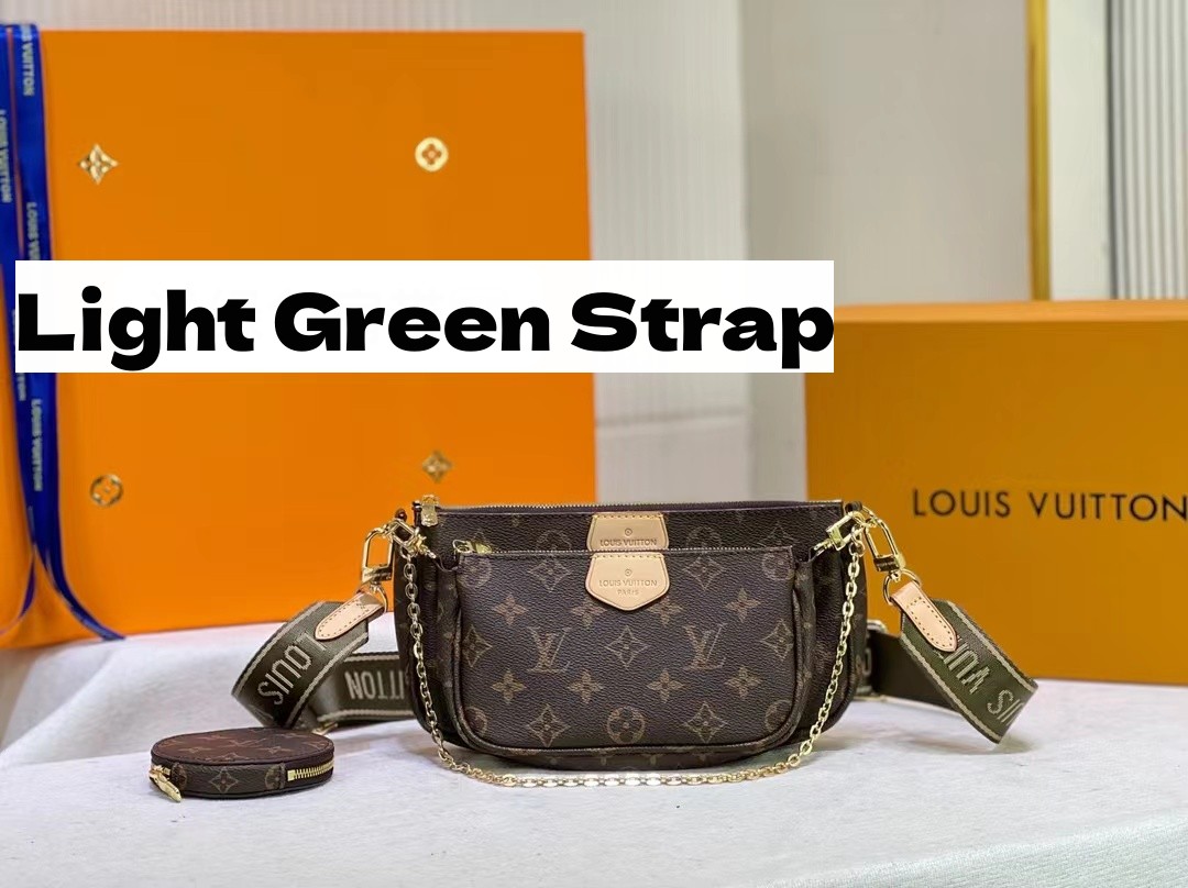 Louis Vuitton LV Multi Pochette Accessoires Bag