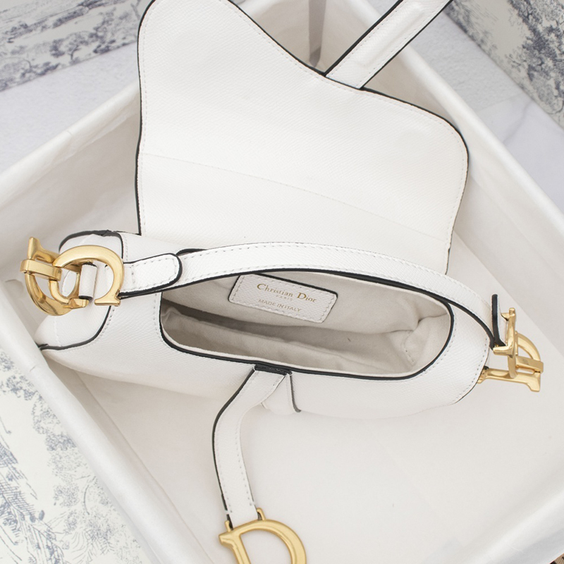 Dior Saddle Latte Grained Calfskin Bags