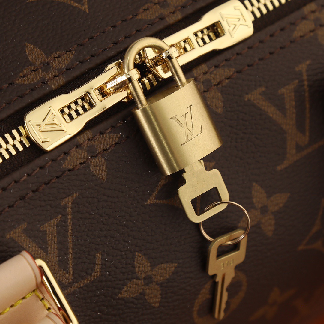 Louis Vuitton Speedy Bandoulière 20/25/30/35 - Bag