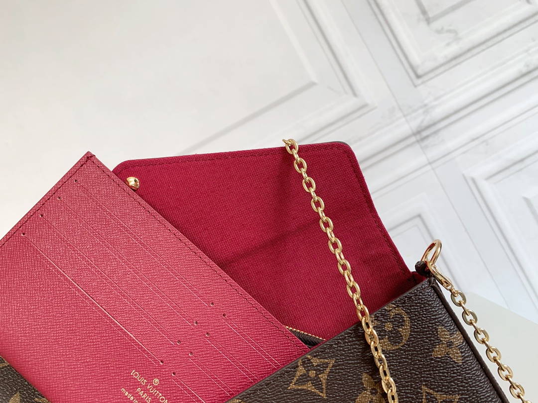 Louis Vuitton LV Félicie Pochette Crossbody Bag