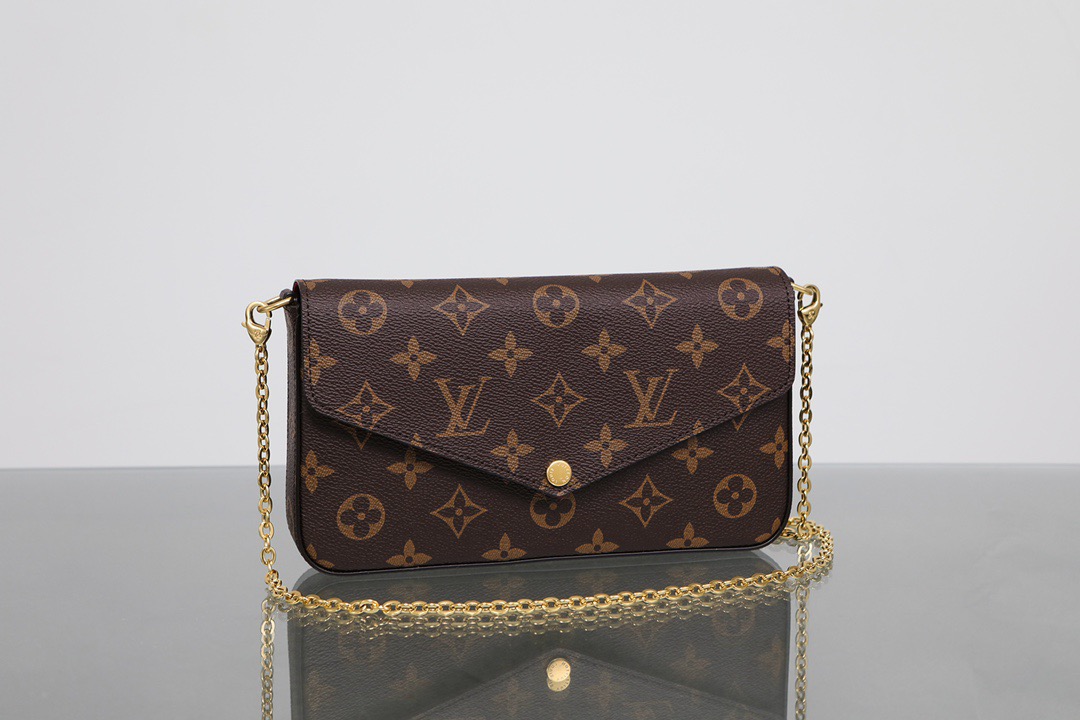 Louis Vuitton LV Félicie Pochette Bag