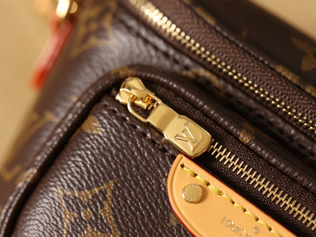 LOUIS VUITTON LV Monogram Mini Bumbag Bag