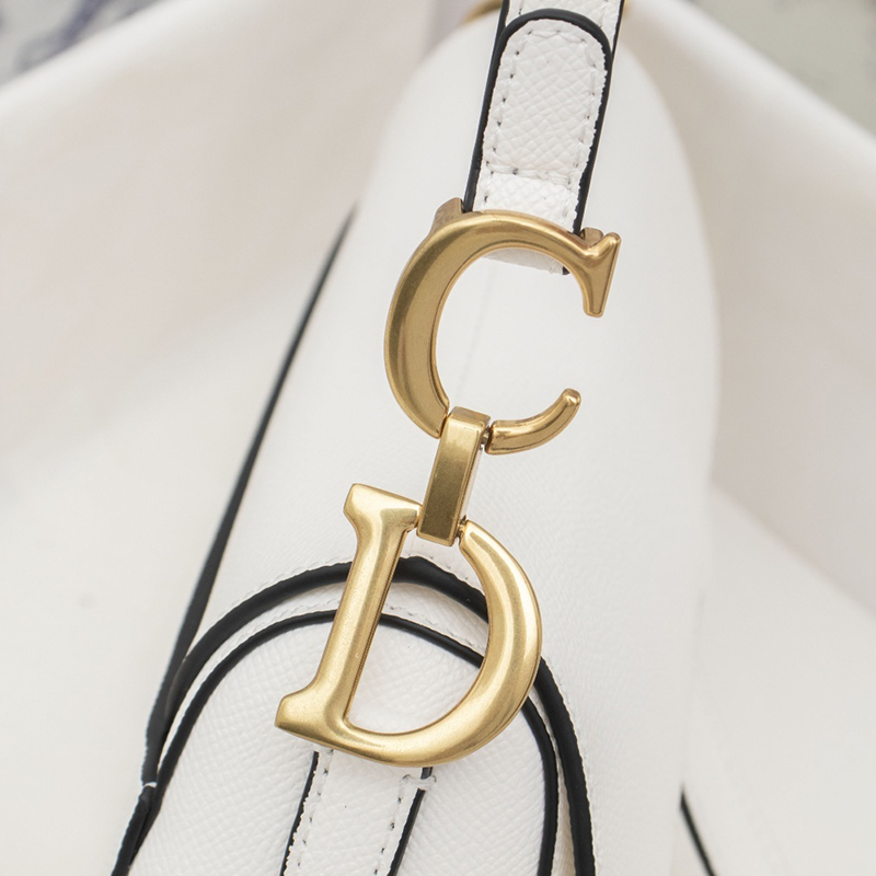 Dior Saddle Latte Grained Calfskin Bags