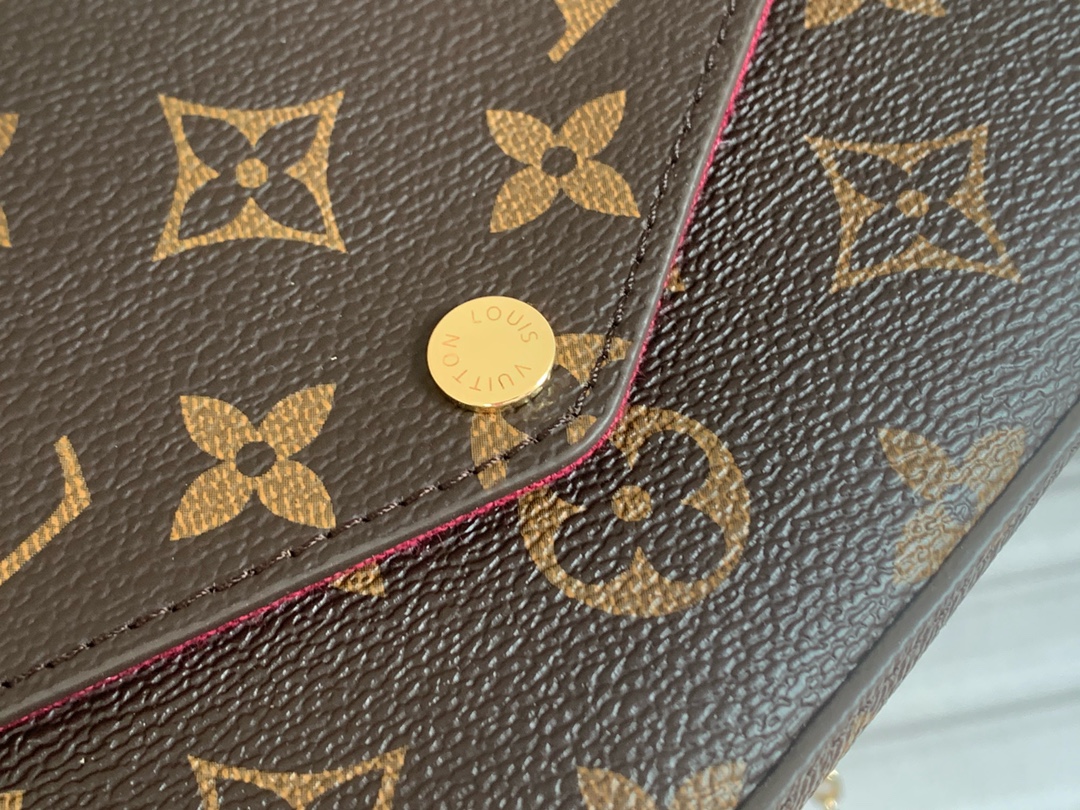 Louis Vuitton LV Félicie Pochette Bag