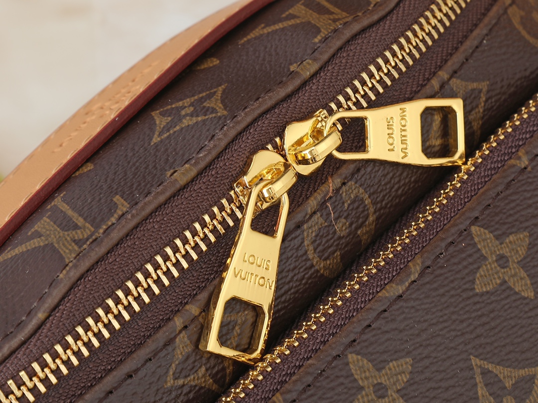 Louis Vuitton Rush Bumbag Monogram Dust canvas - Bag