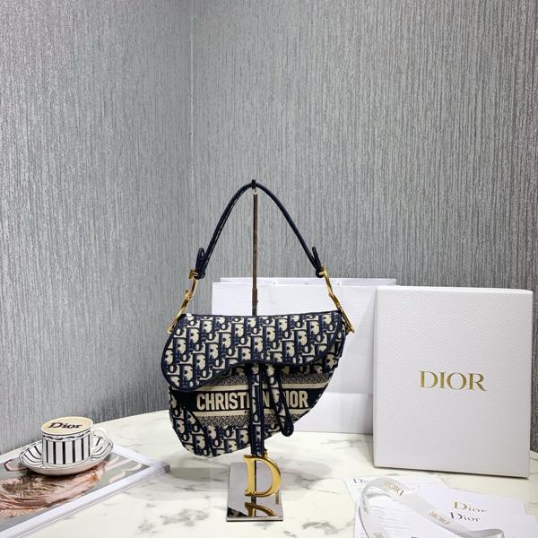Dior SADDLE Bag Blue Dior Oblique Embroidered Velvet - Bag