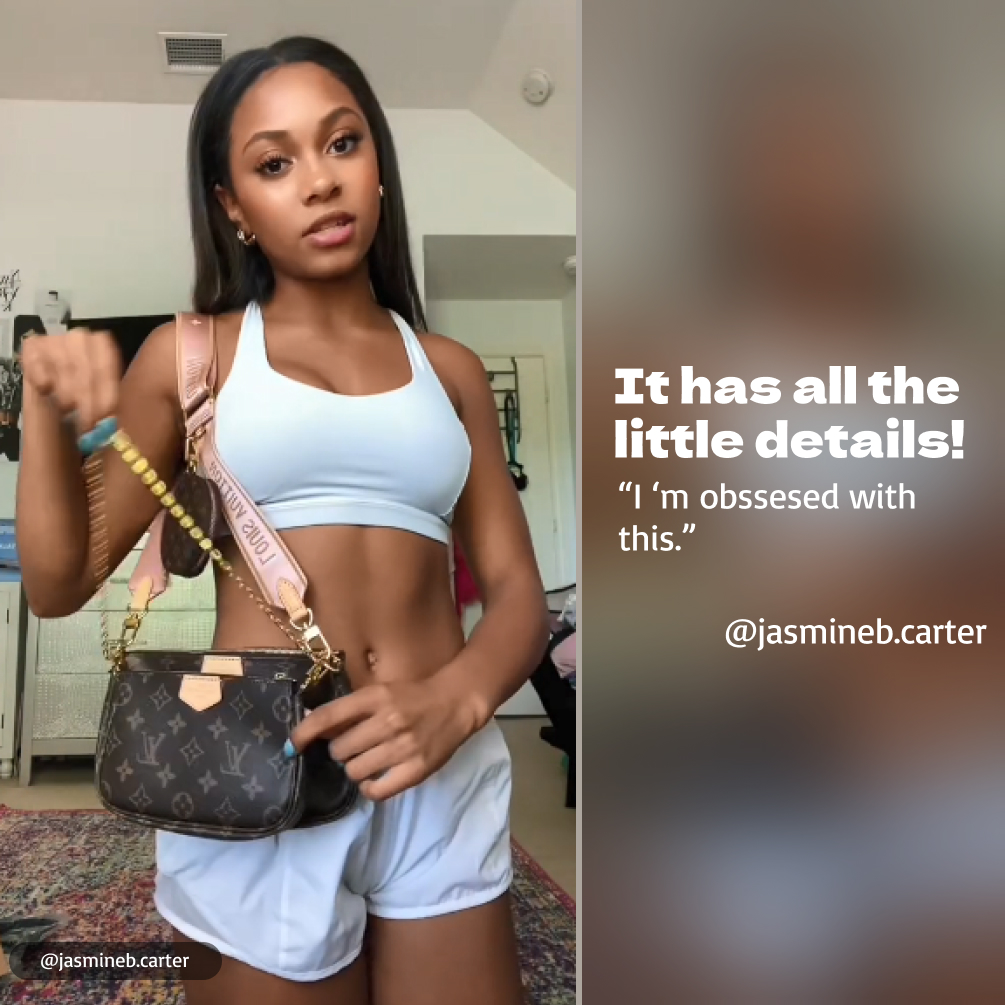 Louis Vuitton LV Multi Pochette Accessoires Bag