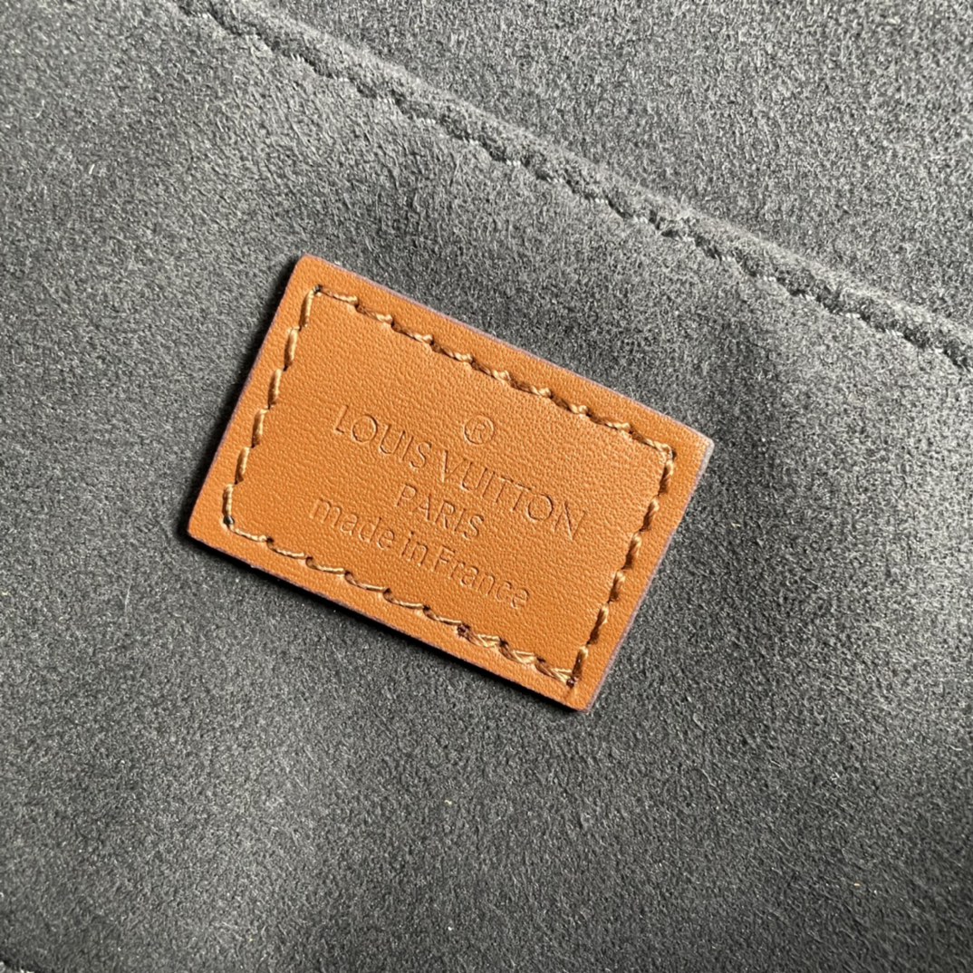 Louis Vuitton LV Monogram & Monogram Reverse Dauphine MM - Bag