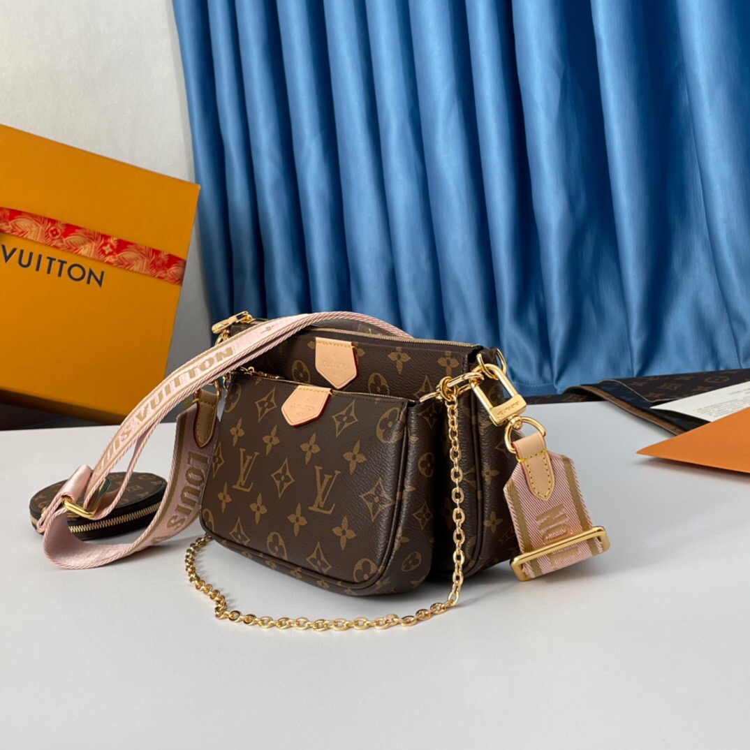 Louis Vuitton LV Multi Pochette Accessoires Bag
