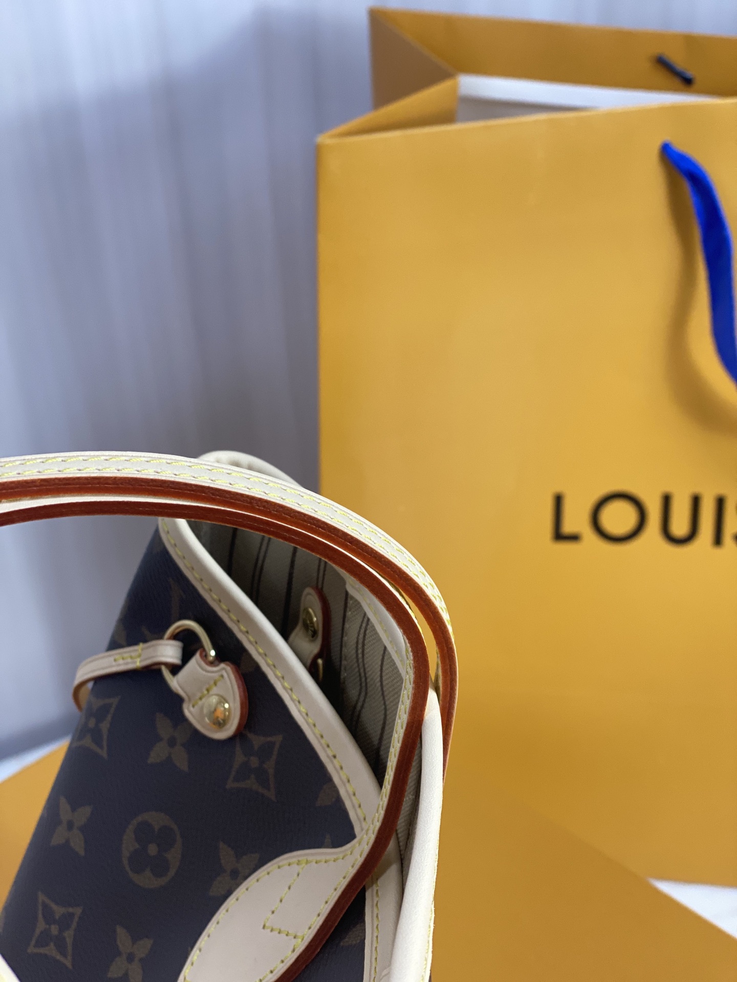 Louis Vuitton LV Neverfull PM bag