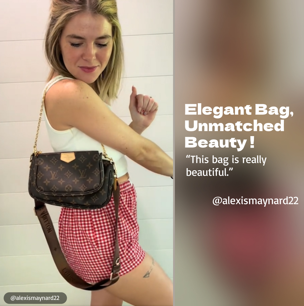 Louis Vuitton LV Multi Pochette Accessoires Bag