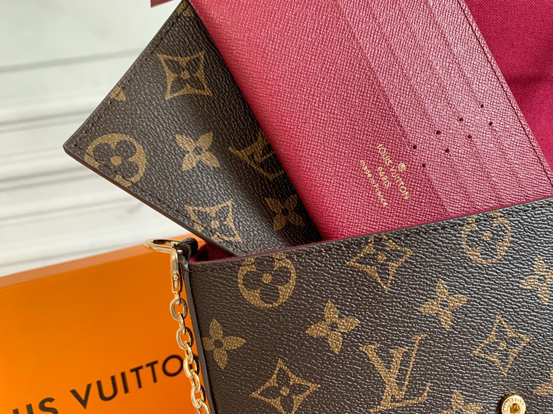 Louis Vuitton LV Félicie Pochette Crossbody Bag