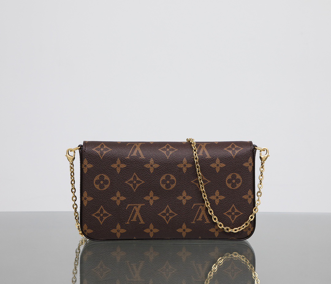 Louis Vuitton LV Félicie Pochette Bag