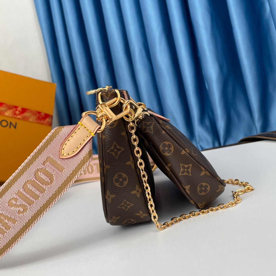 Louis Vuitton LV Multi Pochette Accessoires Bag